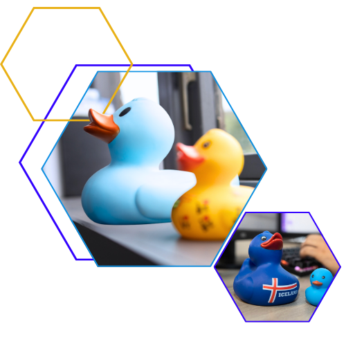 Flowbird's office ducks