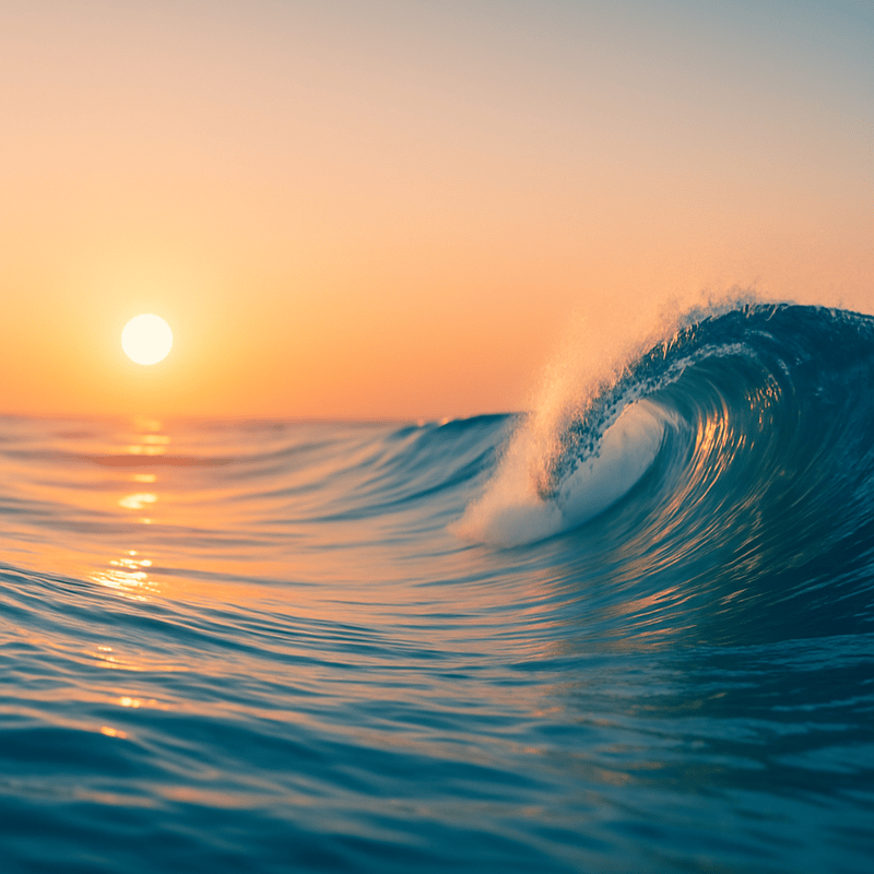 Abstract wave motif — calm, clear motion