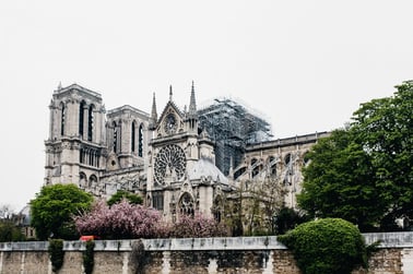 Notre-Dame after fire damage - how to grow your business