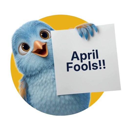 Flowbird mascot alongside a prompt to book a discovery call about sales pipeline structure and CRM design